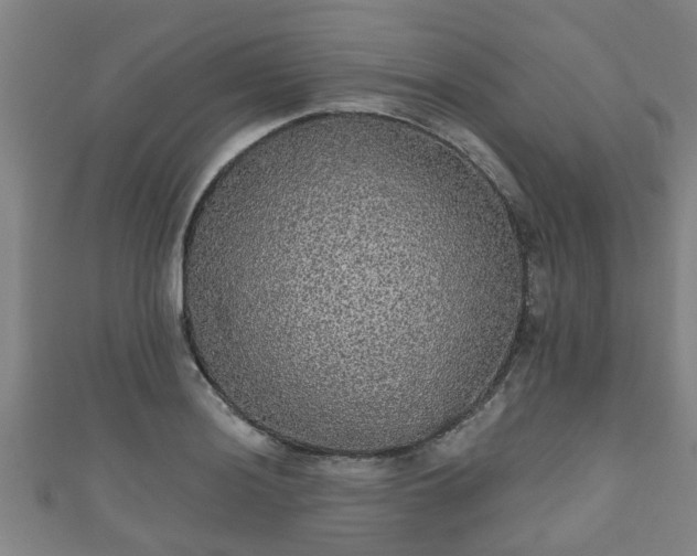 X0000111591036200907231210