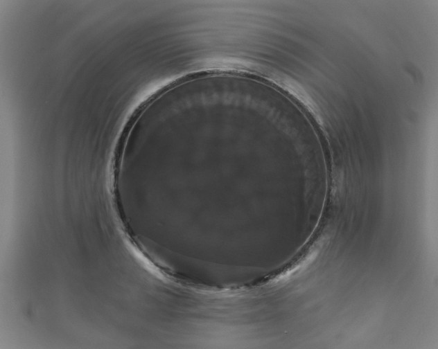 X0000111591037200907231210