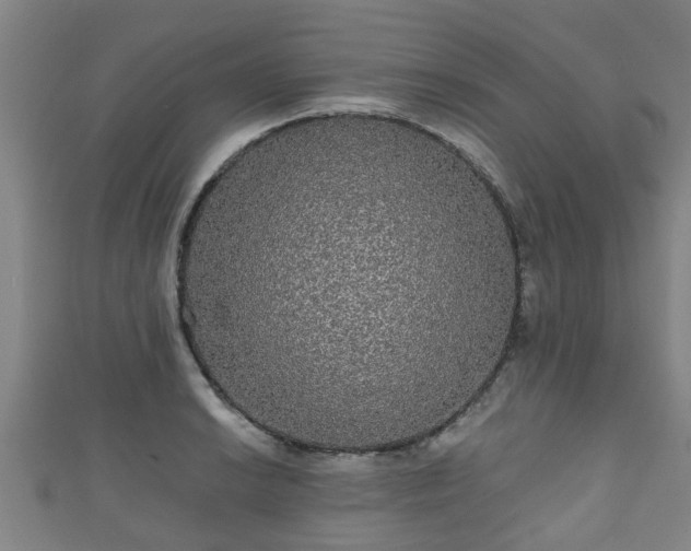 X0000111591038200907231210