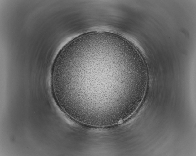 X0000111591040200907231210