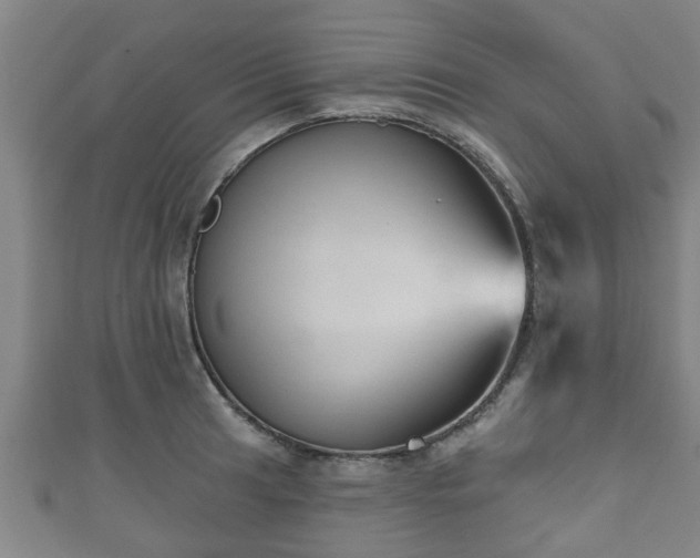 X0000111591041200907231210