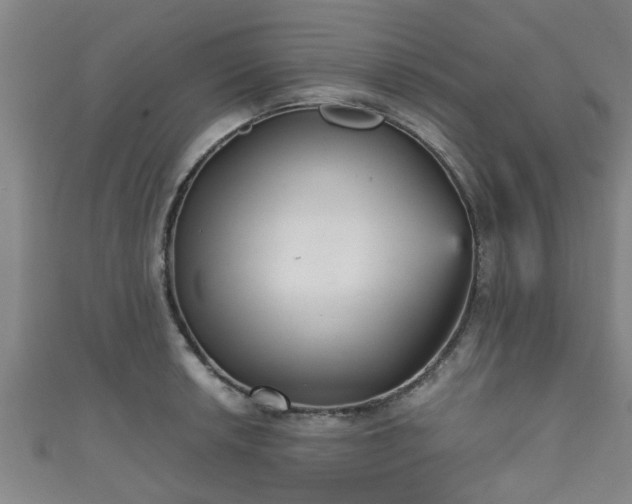 X0000111591042200907231210