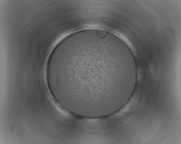 X0000111591043200907231210