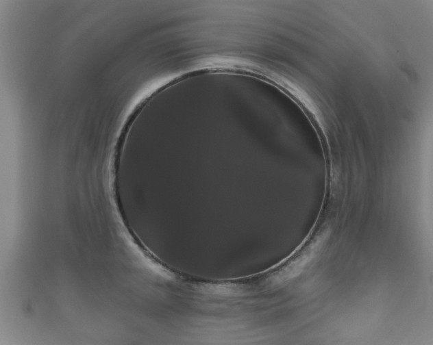 X0000111591045200907231210