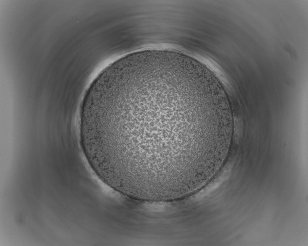 X0000111591046200907231210