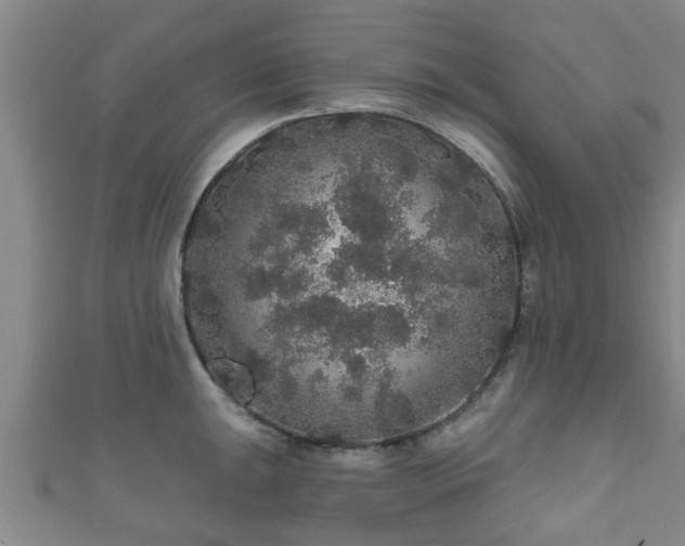 X0000111591047200907231210