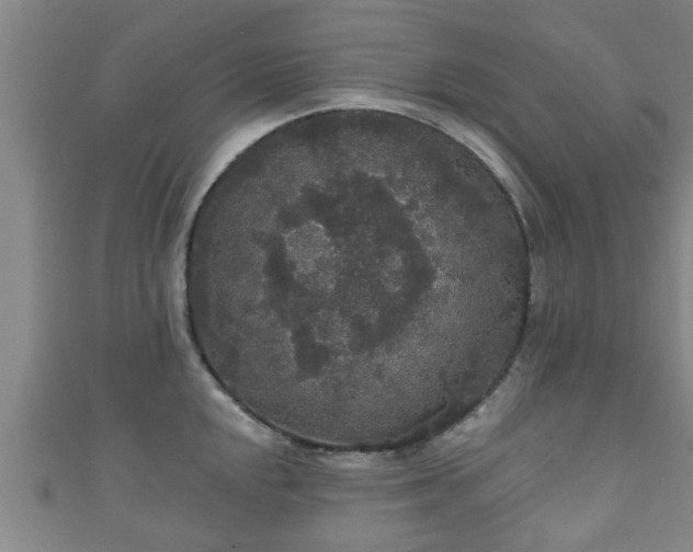 X0000111591048200907231210