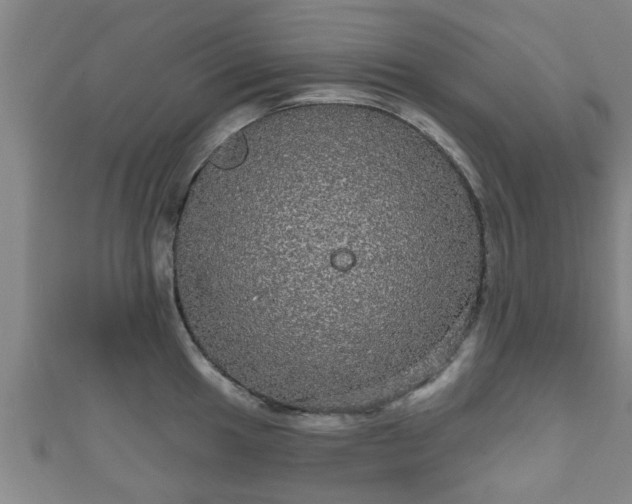 X0000111591049200907231210