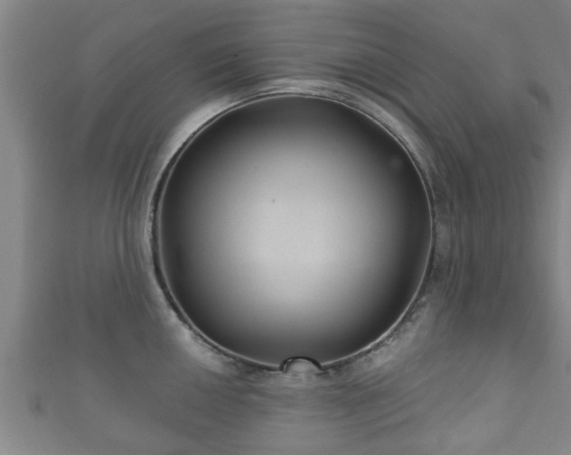 X0000111591050200907231210