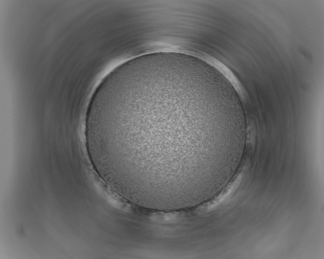 X0000111591051200907231210