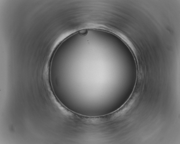 X0000111591053200907231210