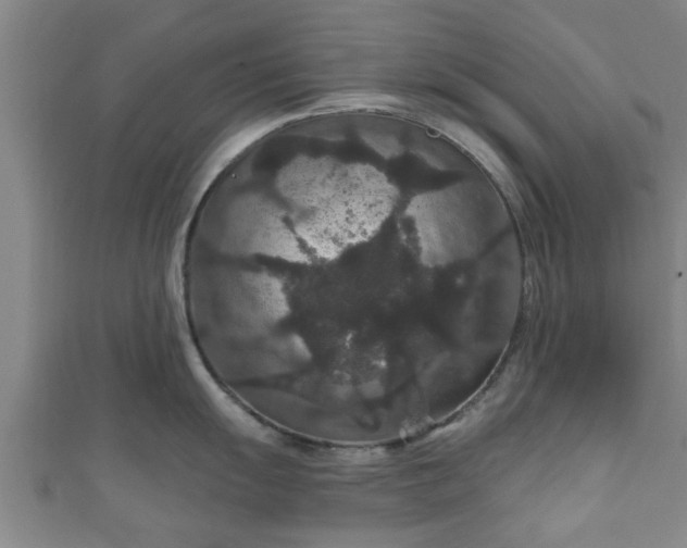 X0000111591055200907231210