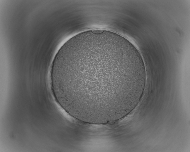 X0000111591056200907231210