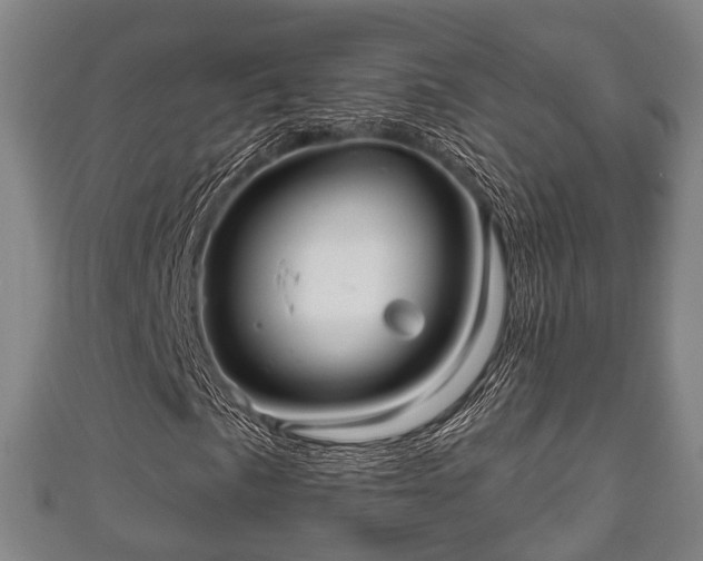 X0000111591057200907231210