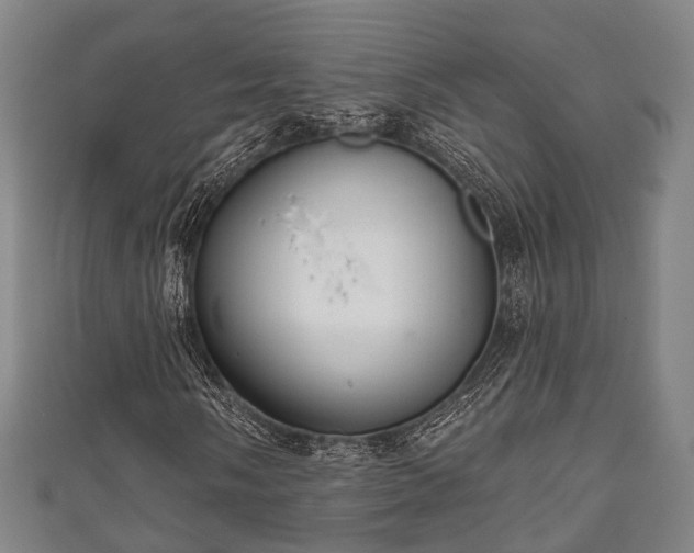 X0000111591058200907231210