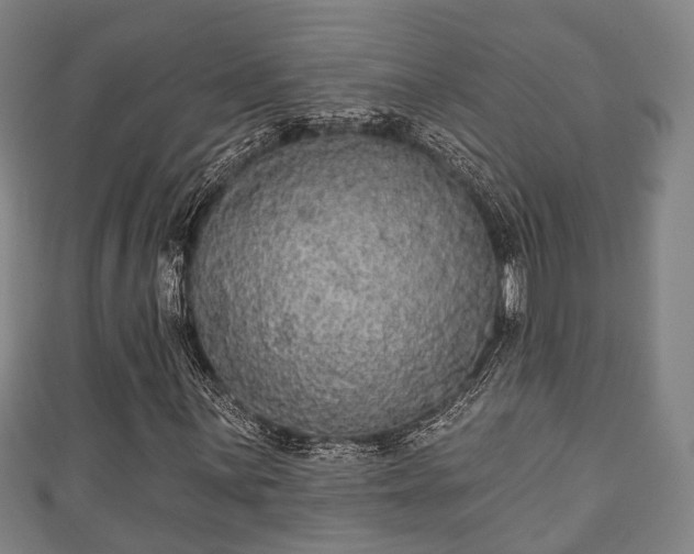 X0000111591059200907231210