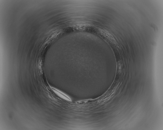 X0000111591060200907231210