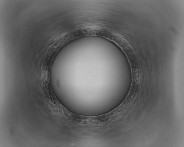 X0000111591061200907231210