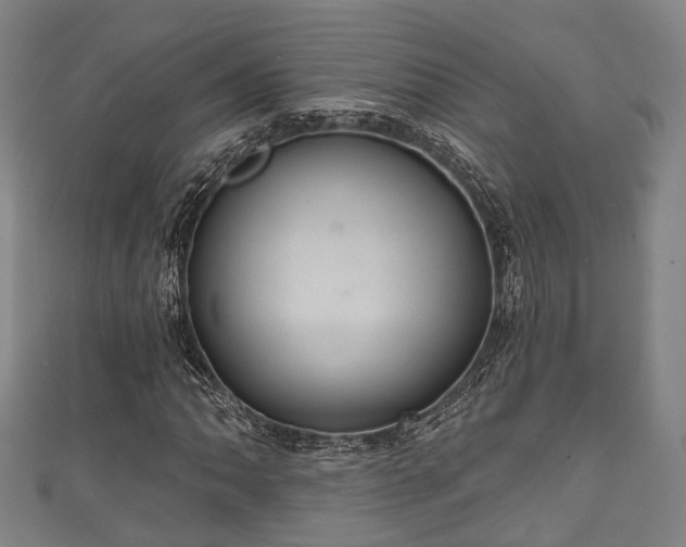 X0000111591062200907231210