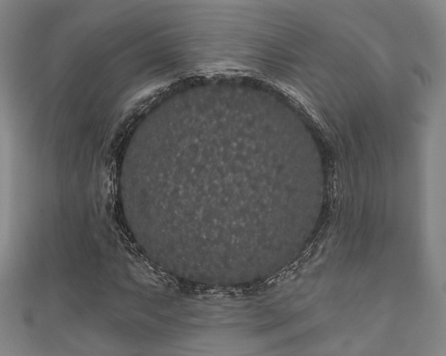 X0000111591063200907231210