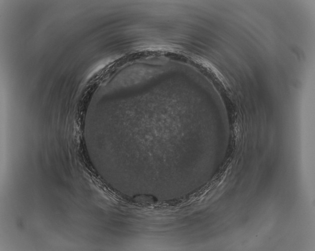 X0000111591064200907231210