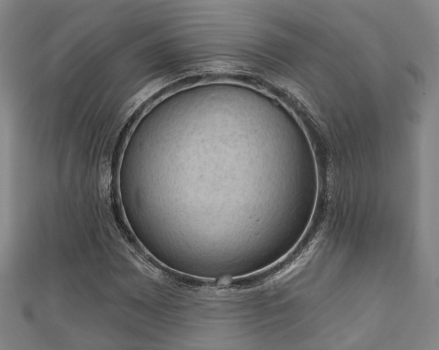 X0000111591065200907231210