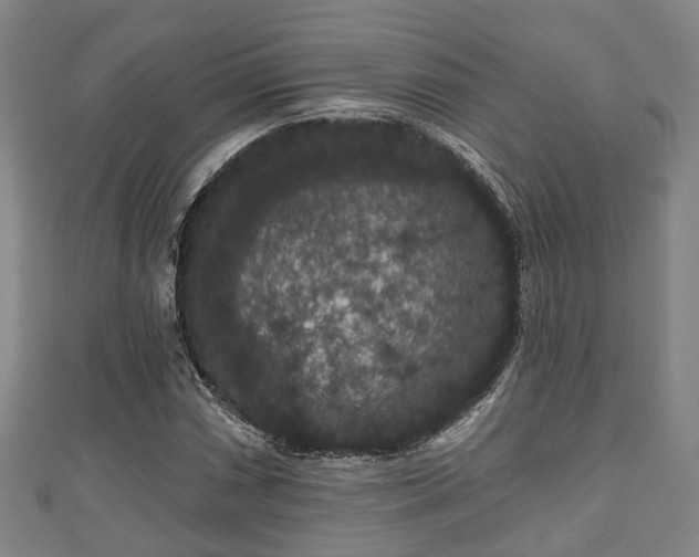 X0000111591066200907231210