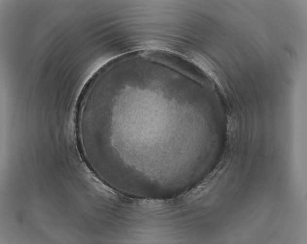 X0000111591068200907231210