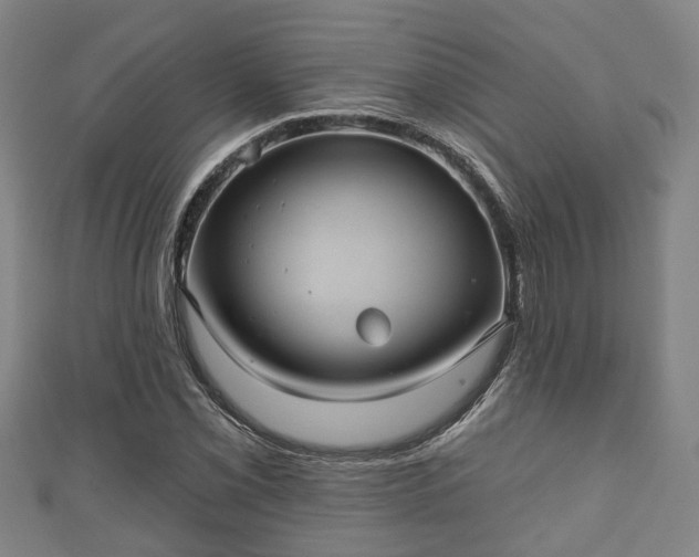 X0000111591069200907231210