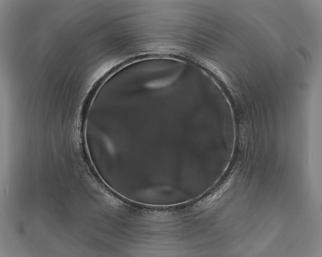 X0000111591071200907231210