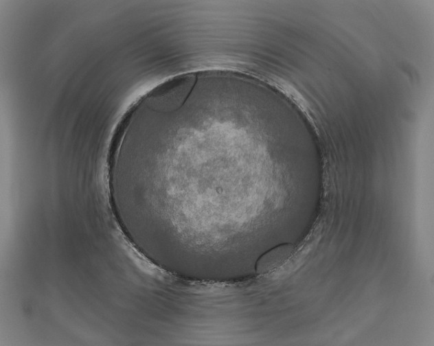 X0000111591072200907231210