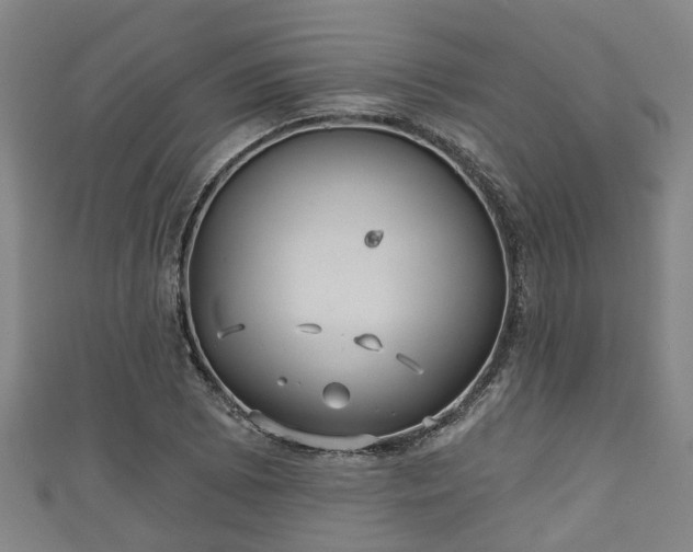 X0000111591073200907231210