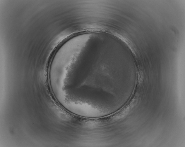 X0000111591074200907231210