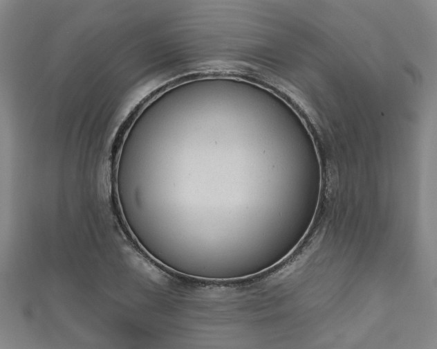 X0000111591075200907231210