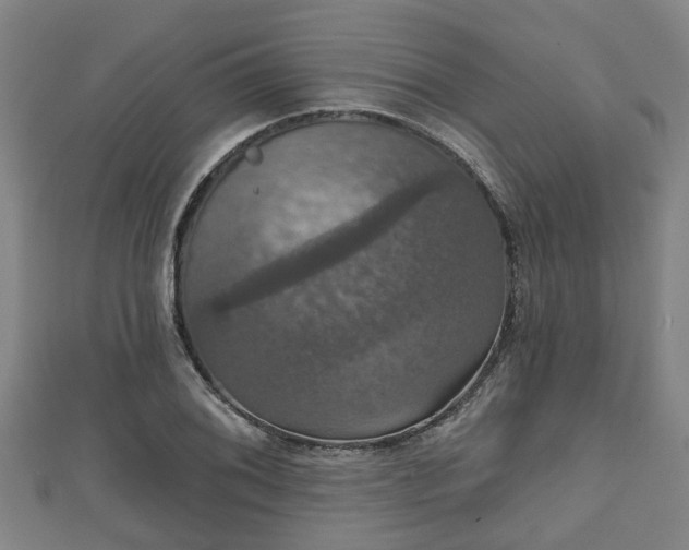 X0000111591076200907231210