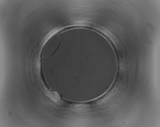 X0000111591077200907231210