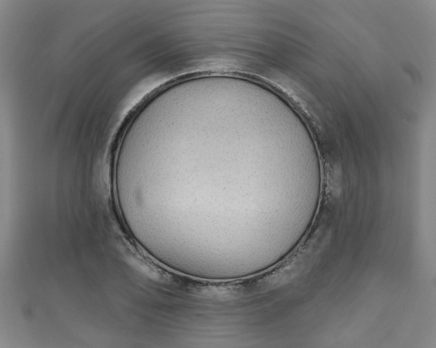 X0000111591078200907231210