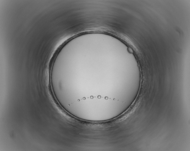 X0000111591079200907231210