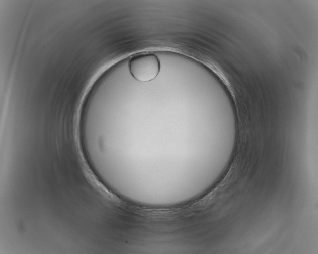 X0000111591080200907231210