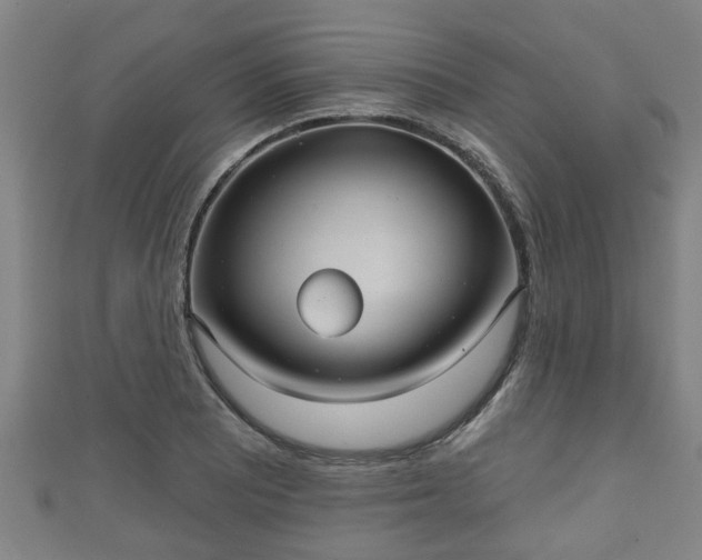 X0000111591081200907231210