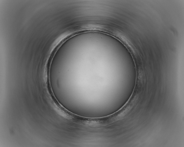 X0000111591082200907231210