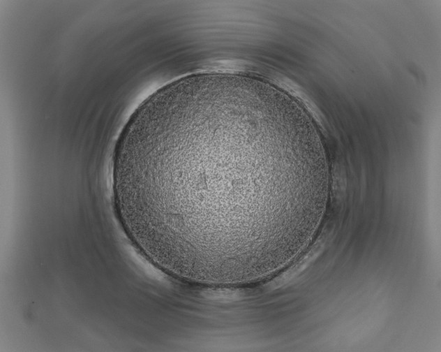 X0000111591083200907231210