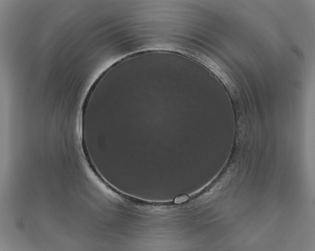 X0000111591084200907231209