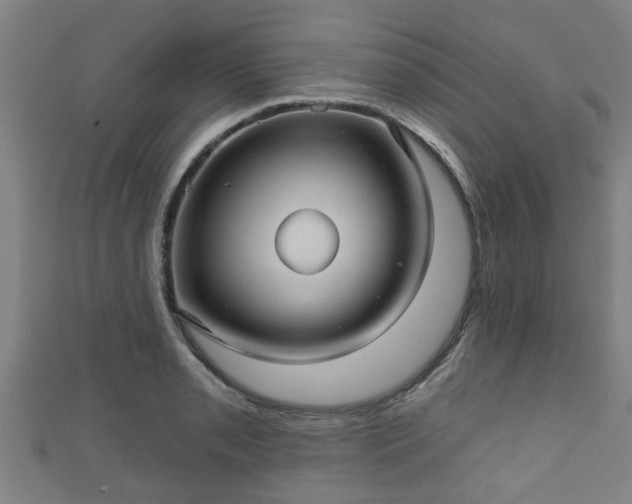 X0000111591085200907231209