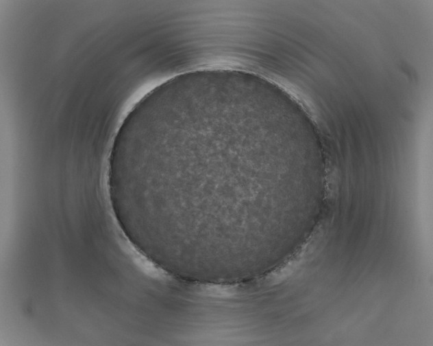 X0000111591086200907231209