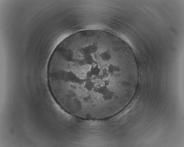 X0000111591087200907231209