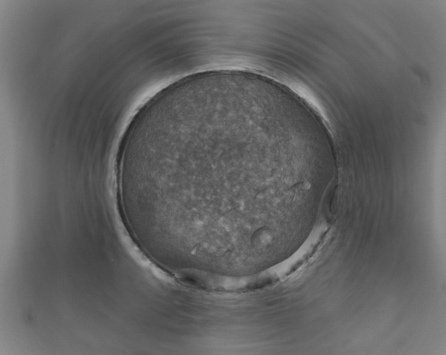 X0000111591088200907231209