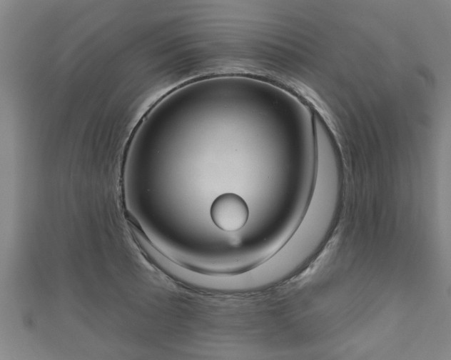 X0000111591089200907231209