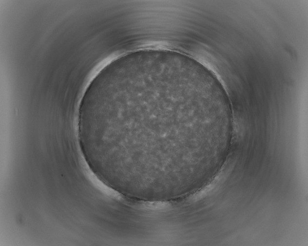 X0000111591090200907231209