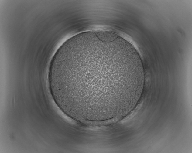 X0000111591091200907231209